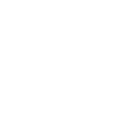 DragonfiAR Logo